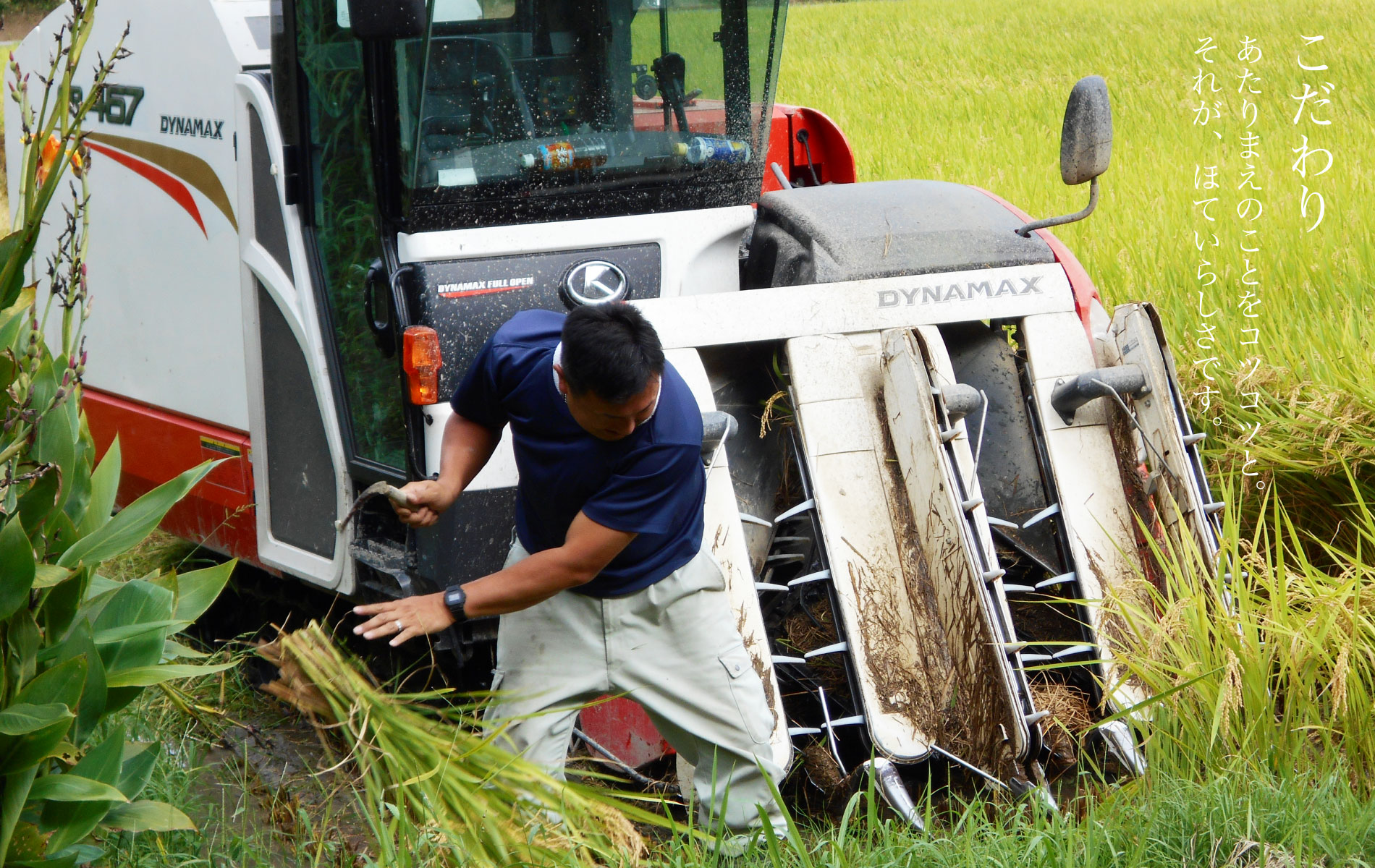 こだわり　あたりまえのことをコツコツと。それが、ほていらしさです。