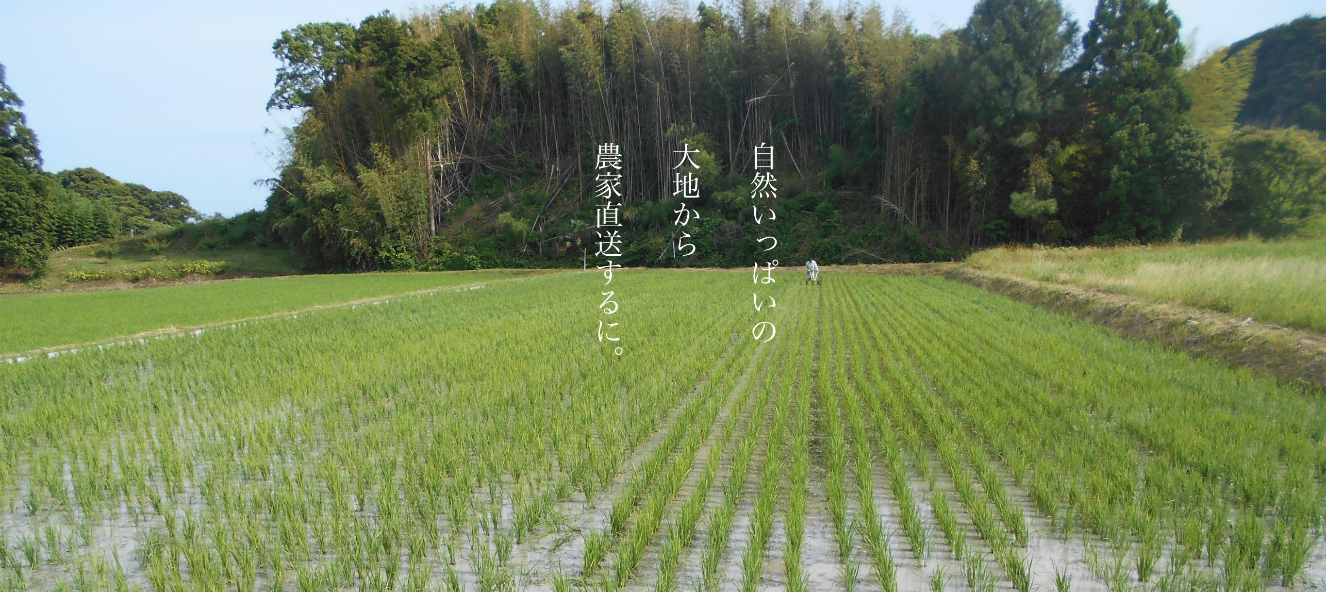 自然いっぱいの大地から農家直送するに。